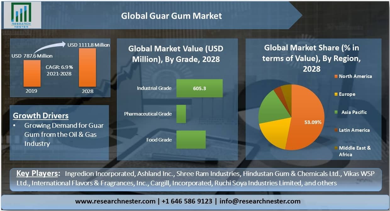 Global-Guar-Gum-Market-share