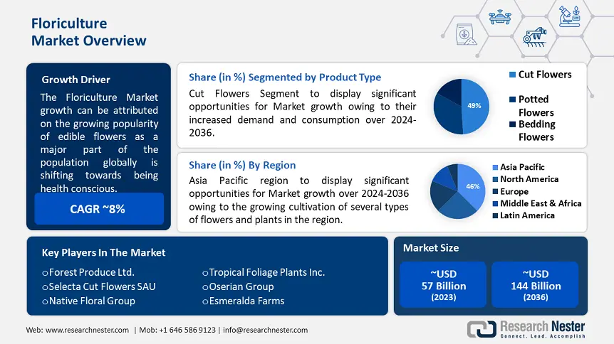 Floriculture Market Size & Share - Growth Analysis 2037