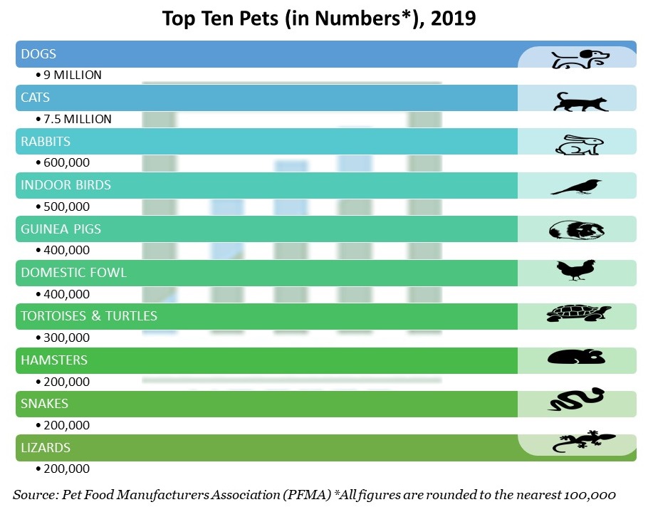 Dix meilleurs animaux de compagnie (en chiffres*), 2019