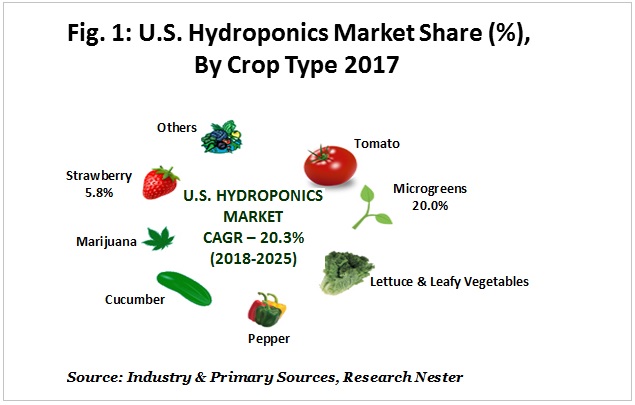 United States Hydroponics Market